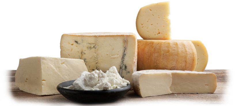 Export of High Quality Mixed Italian Cheese