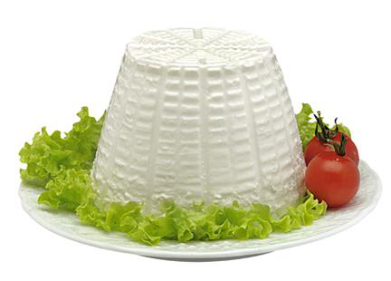 Italian cheese ricotta